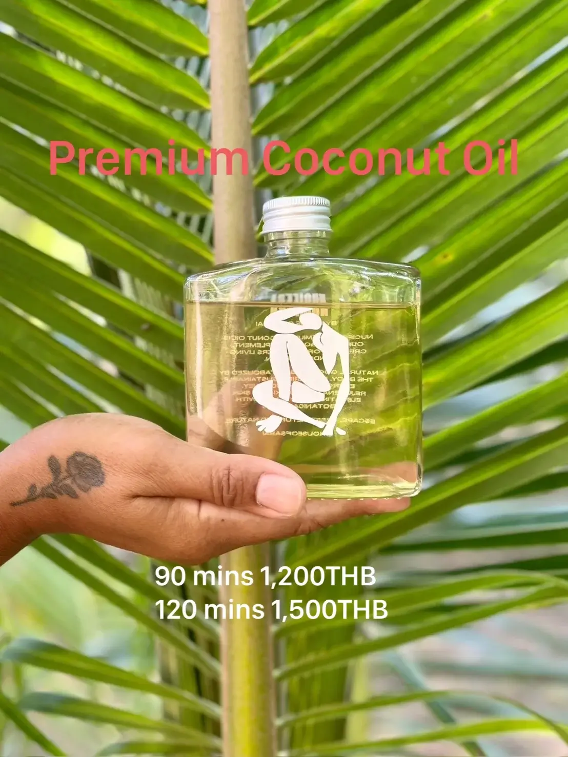 dragon house Premium Coconutor