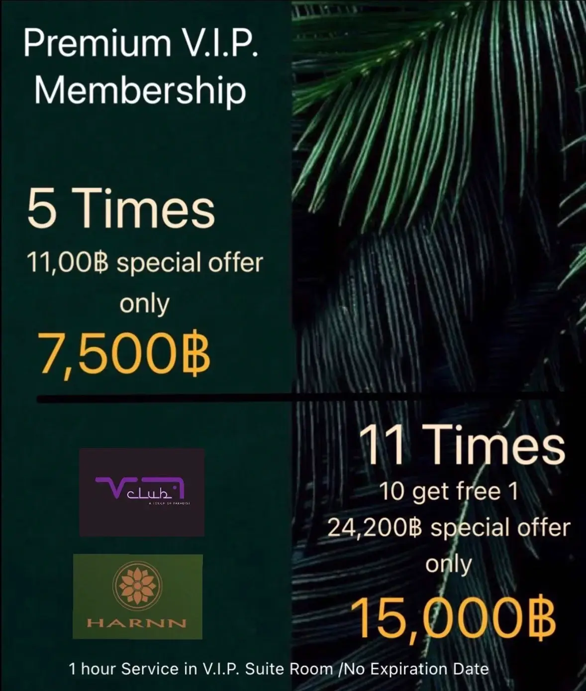 2026 vclub gay massage promotion